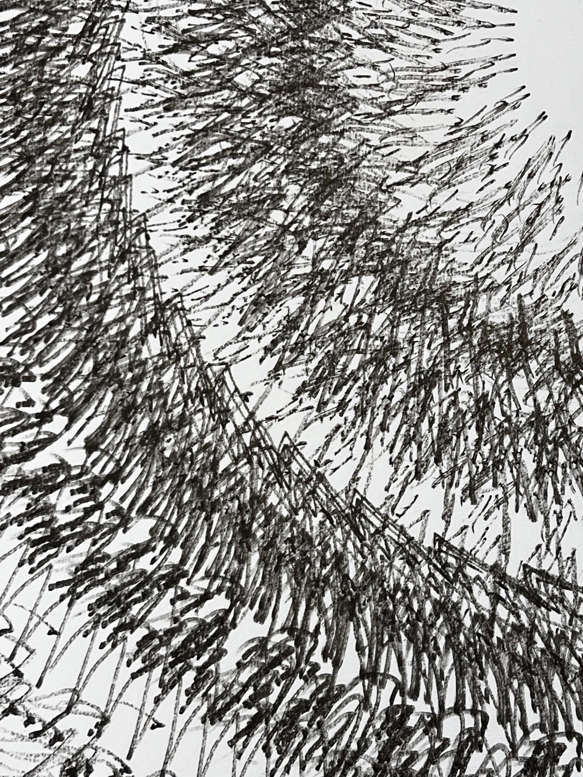 Flock 1, Abstrakt-expressionistische Zeichnung, zeitgenössisches monochromes Kunstwerk (Grau), Abstract Drawing, von Nigel Bird