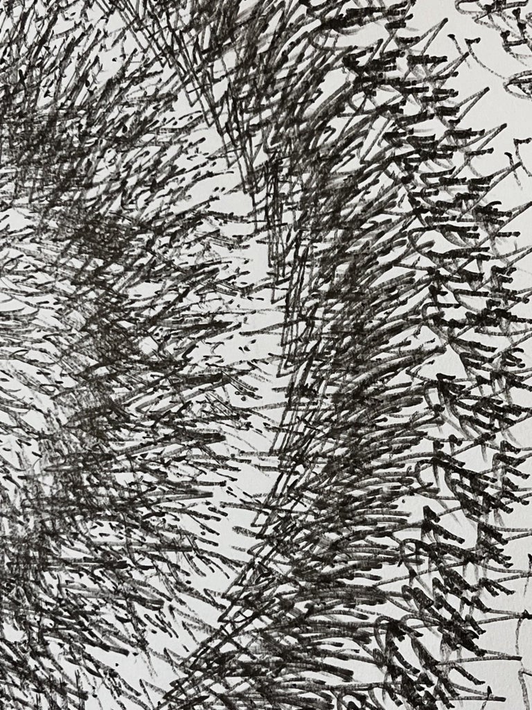 Nigel Bird - Flock 1, Abstract Expressionist Drawing, Contemporary ...