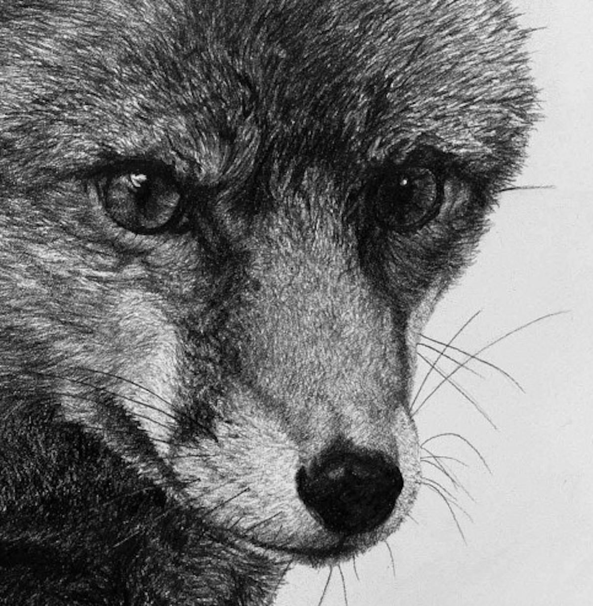 Fox 1, Original Animal Art, Statement Contemporary Black and White Drawing 3