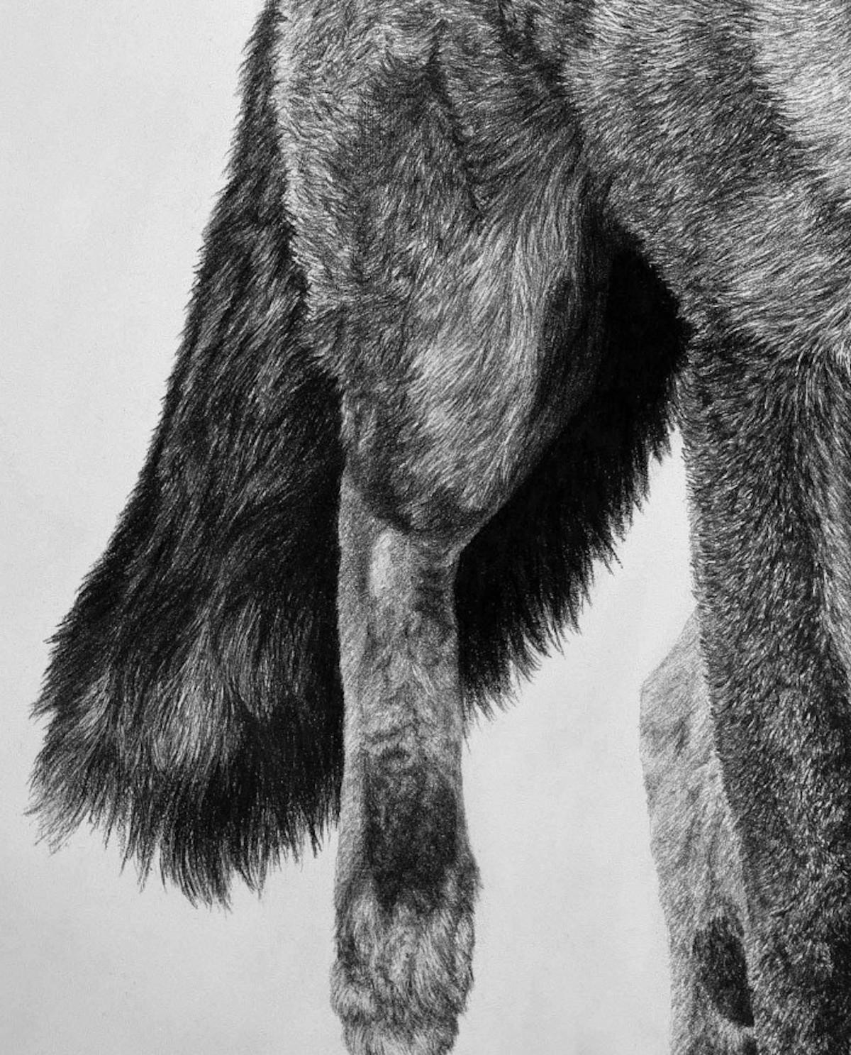 Fox 1, Original Animal Art, Statement Contemporary Black and White Drawing 2