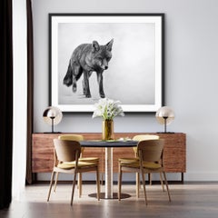 Fox 1, Original Animal Art, Statement Contemporary Black and White Drawing