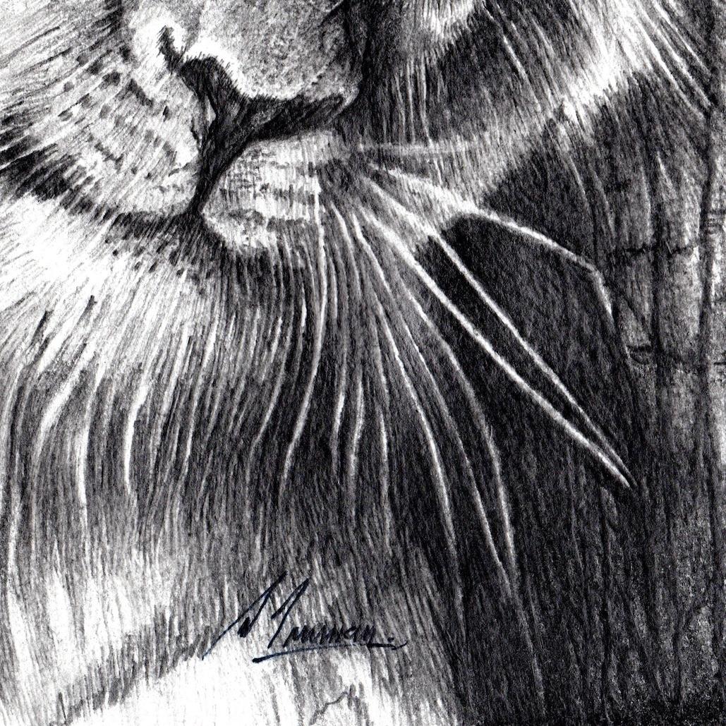 Wilde Affection, Tierkunst, Löwenkunst, Originalkunst, erschwingliche Kunst (Grau), Landscape Art, von David Truman