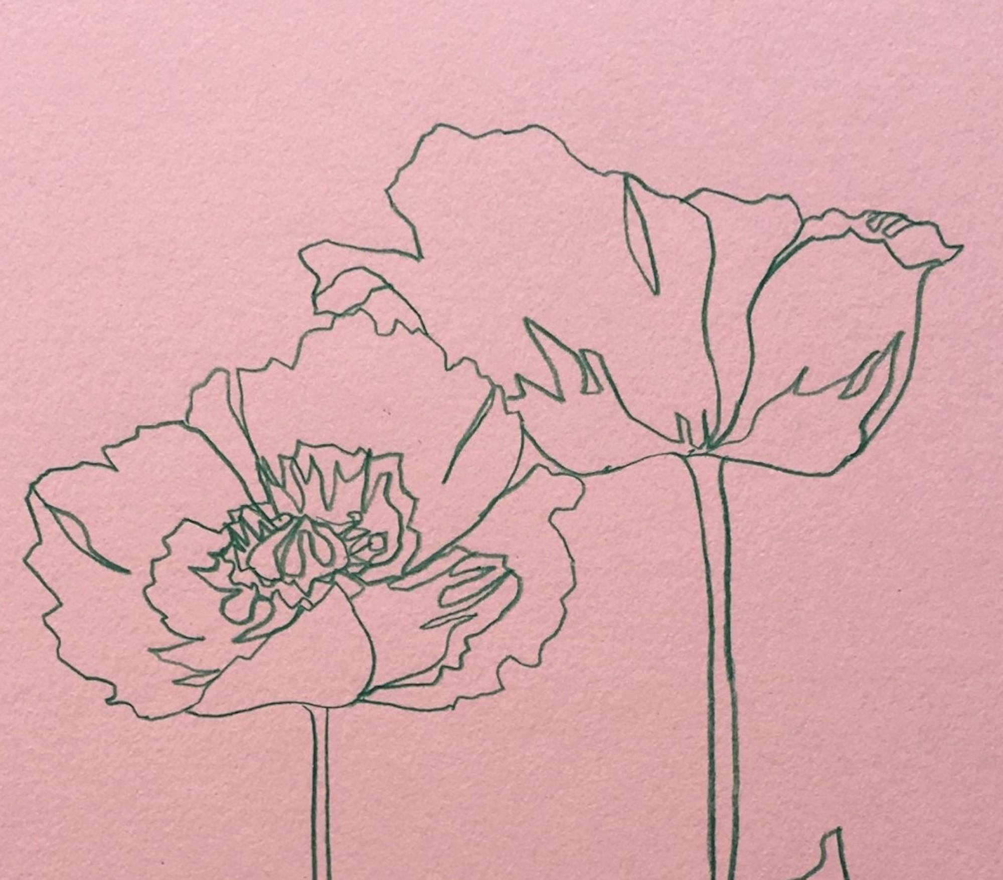 Wild Poppies II, floral art, botanical drawing, original art, affordable art - Contemporary Art by Ellen Williams