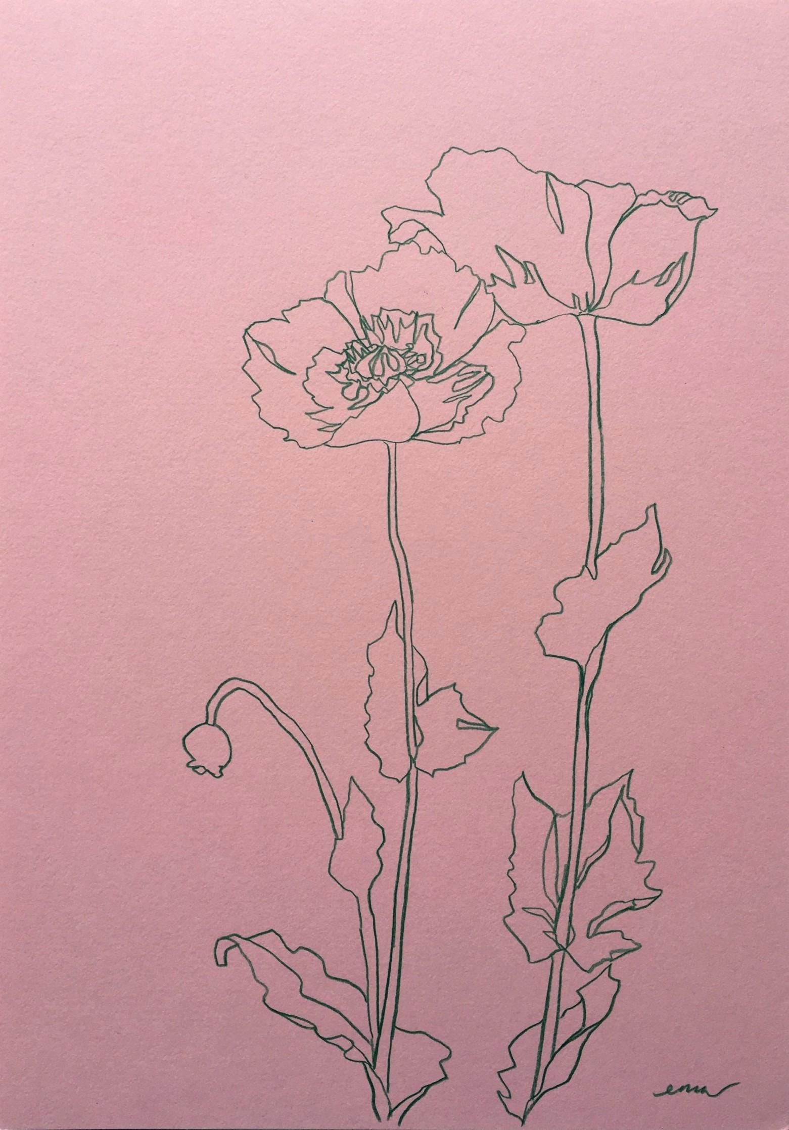 Wilde Mohnblumen II, Blumenkunst, botanische Zeichnung, Originalkunst, erschwingliche Kunst