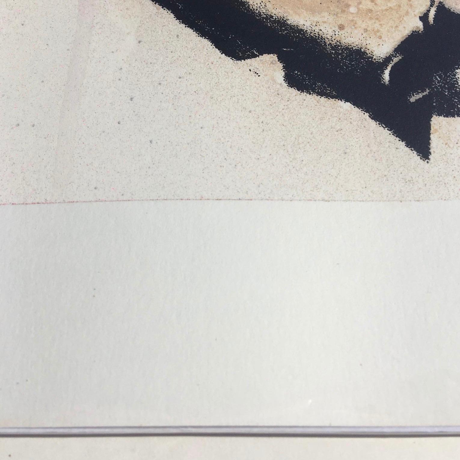 Harry Bunce, Tommies, Serigrafia in edizione limitata, Arte della conservazione in vendita 2