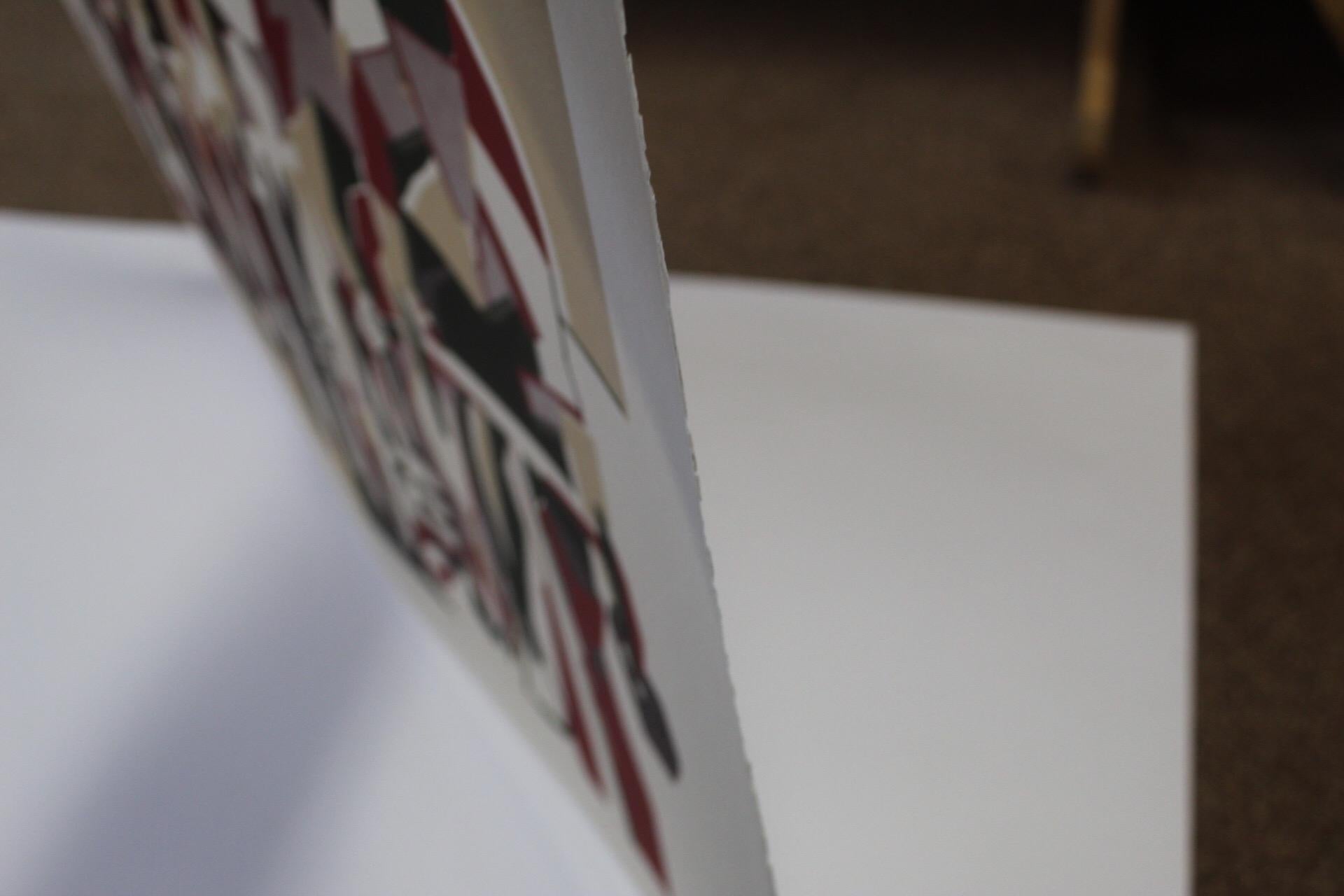 Lisa Takahashi, Echelon, Arte ciclistica, Stampa linoleografica contemporanea, Arte a prezzi accessibili in vendita 2