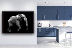 Art animalier d'éléphantis Max Garner pour Reidy en vente en ligne, exposition d'été RA