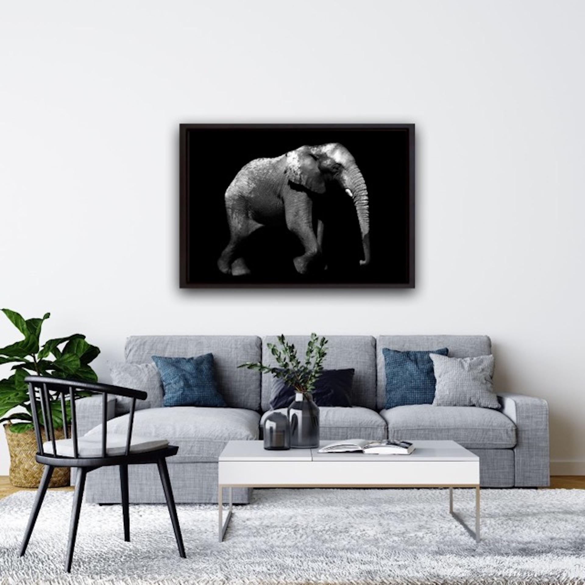 Elephantis – Max Garner Reidy – Animal Art for Sale Online, RA Summer Exhibition For Sale 4
