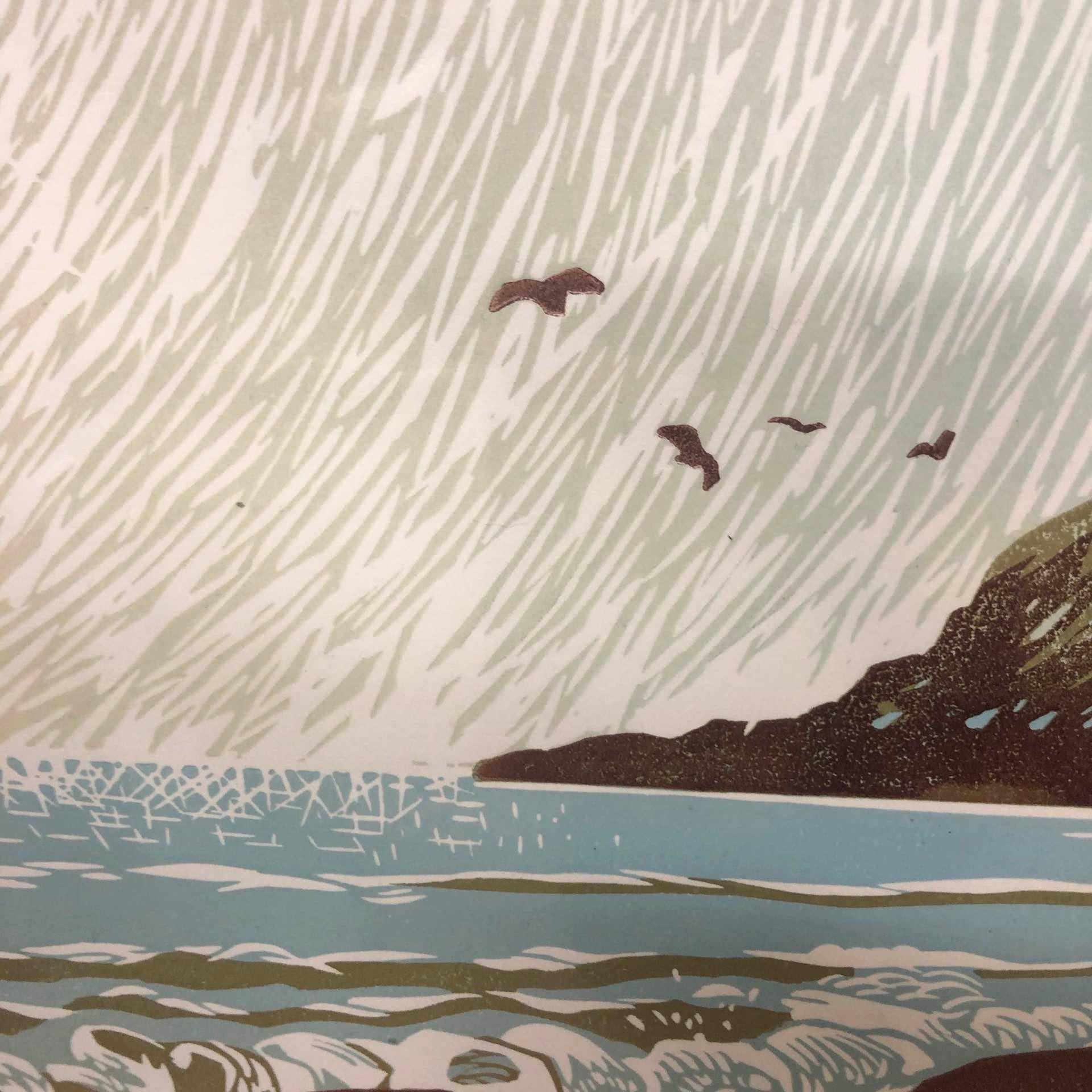 Ian Phillips, Gabbiani del sole, Stampe di paesaggi marini, Arte luminosa, Stampa linoleografica in vendita 7