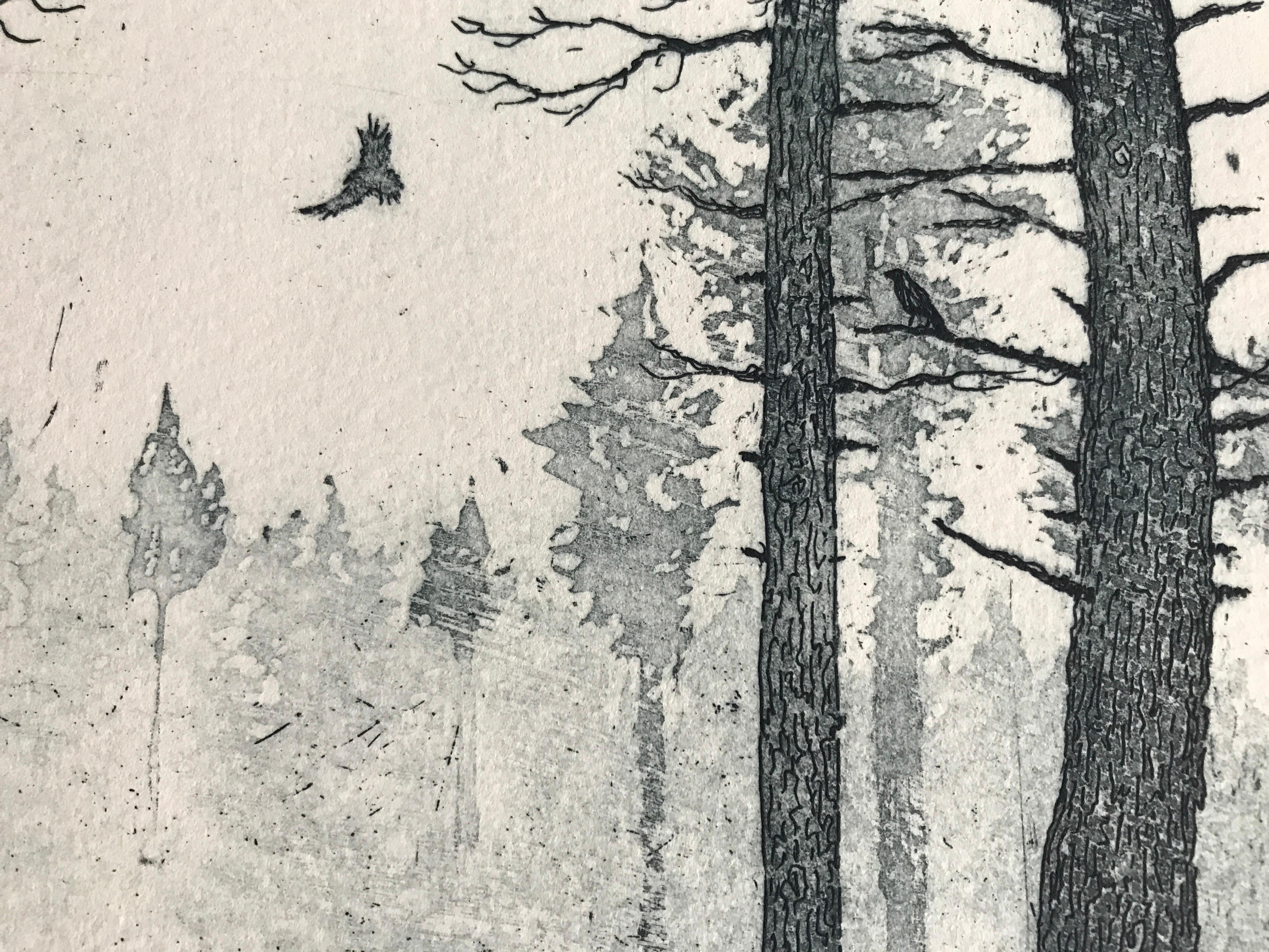 Tim Southall, Ciervo en invierno, Grabado contemporáneo, Impresión animal, Arte asequible en venta 6