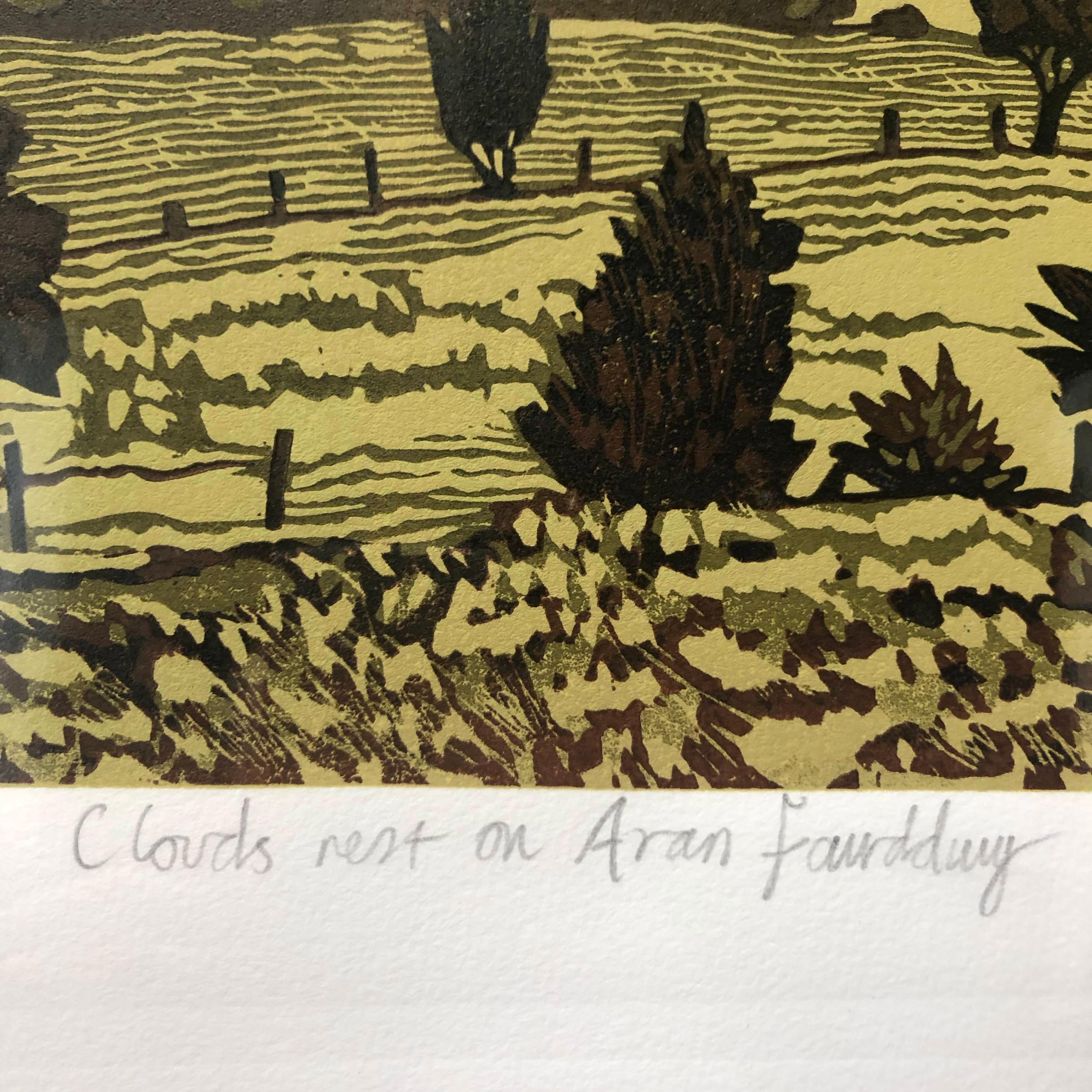 Ian Phillips, Las nubes descansan sobre Aran Fawddwy, Grabado en linograbado de edición limitada, SeaArt en venta 2