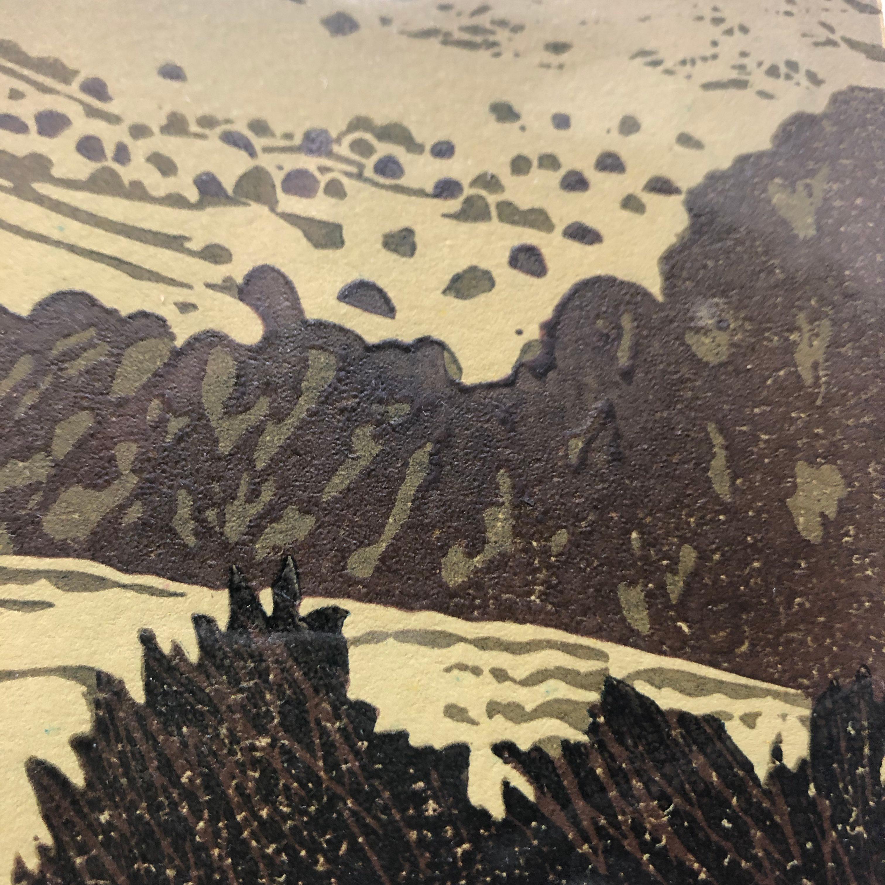 Ian Phillips, Clouds Rest on Aran Fawddwy, Limited Edition Linocut Print, SeaArt For Sale 6