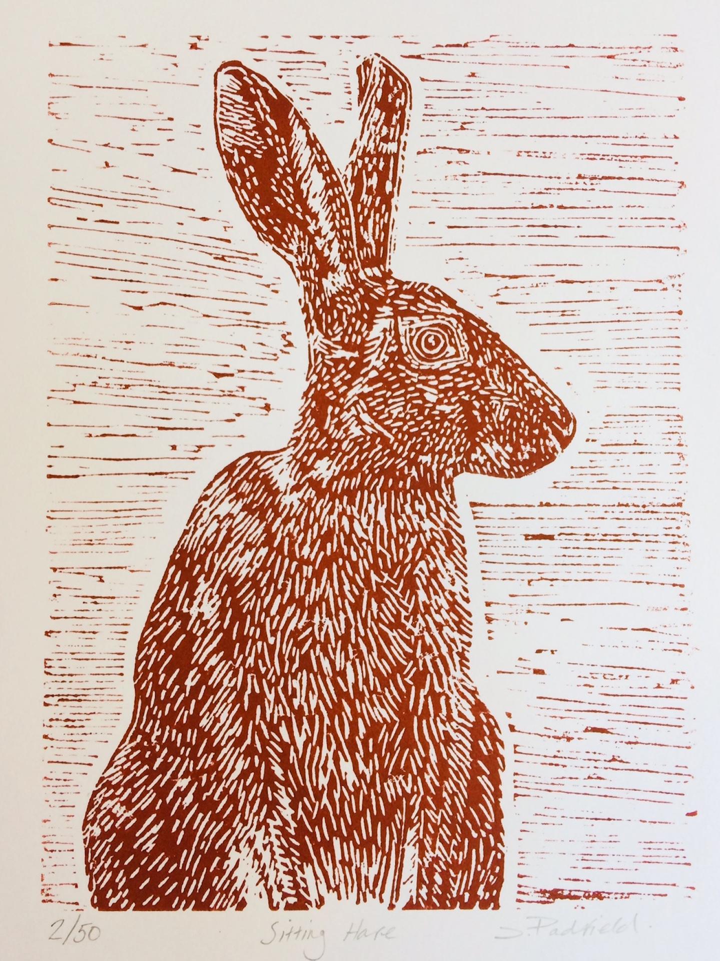Sitting Hare, Joanna Padfield, Linocut-Druck, braune Kunst, erschwinglicher Tierdruck