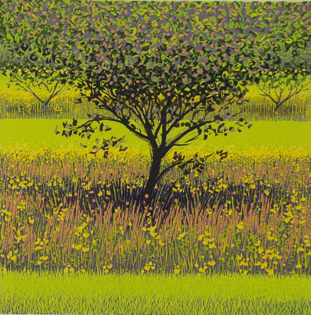 Mark A Pearce, Orchard Stripes, impression contemporaine en linogravure, Art de paysage brillant