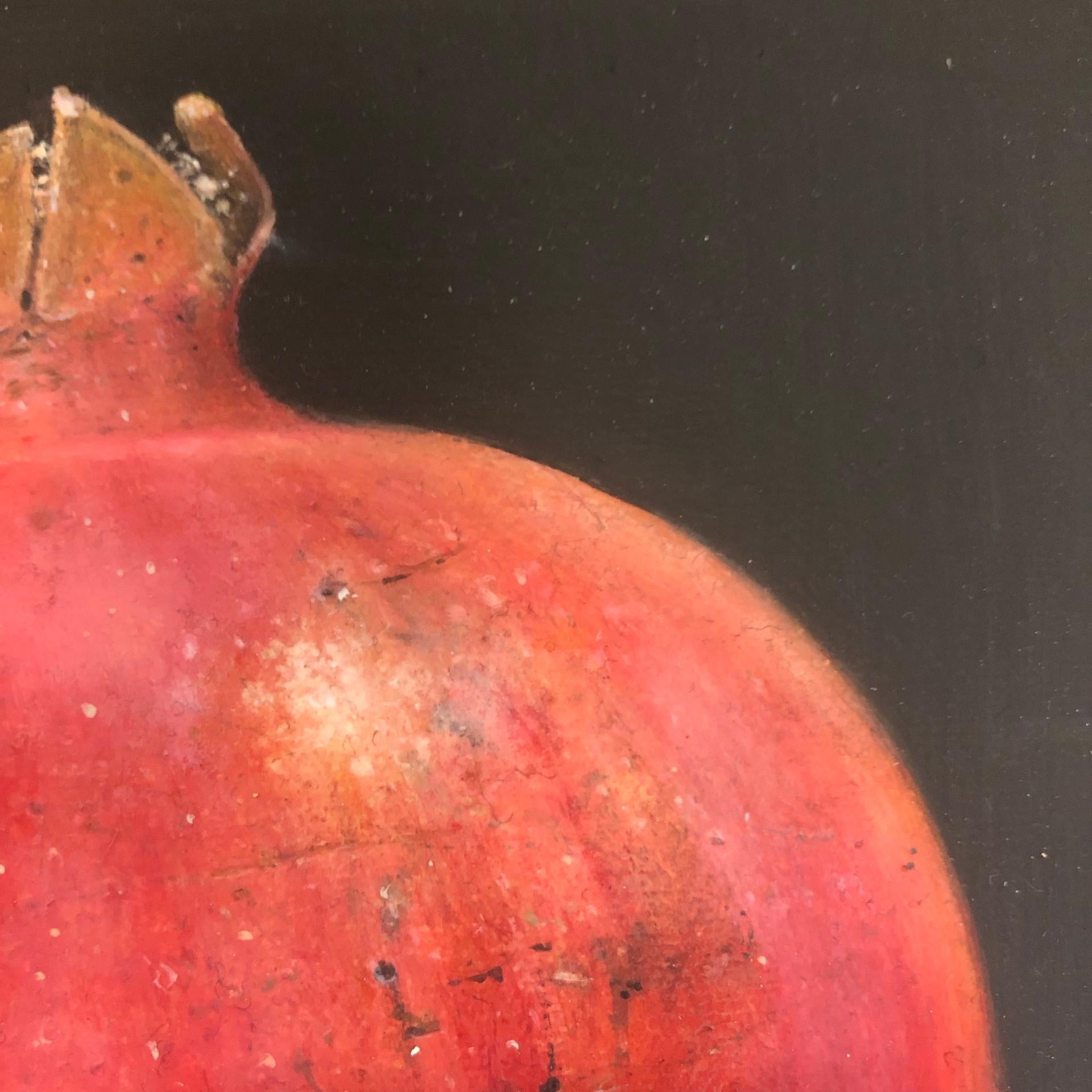 Dani Humberstone, Stripy Red Pomegranate, Realist Art, Still Life Painting 5