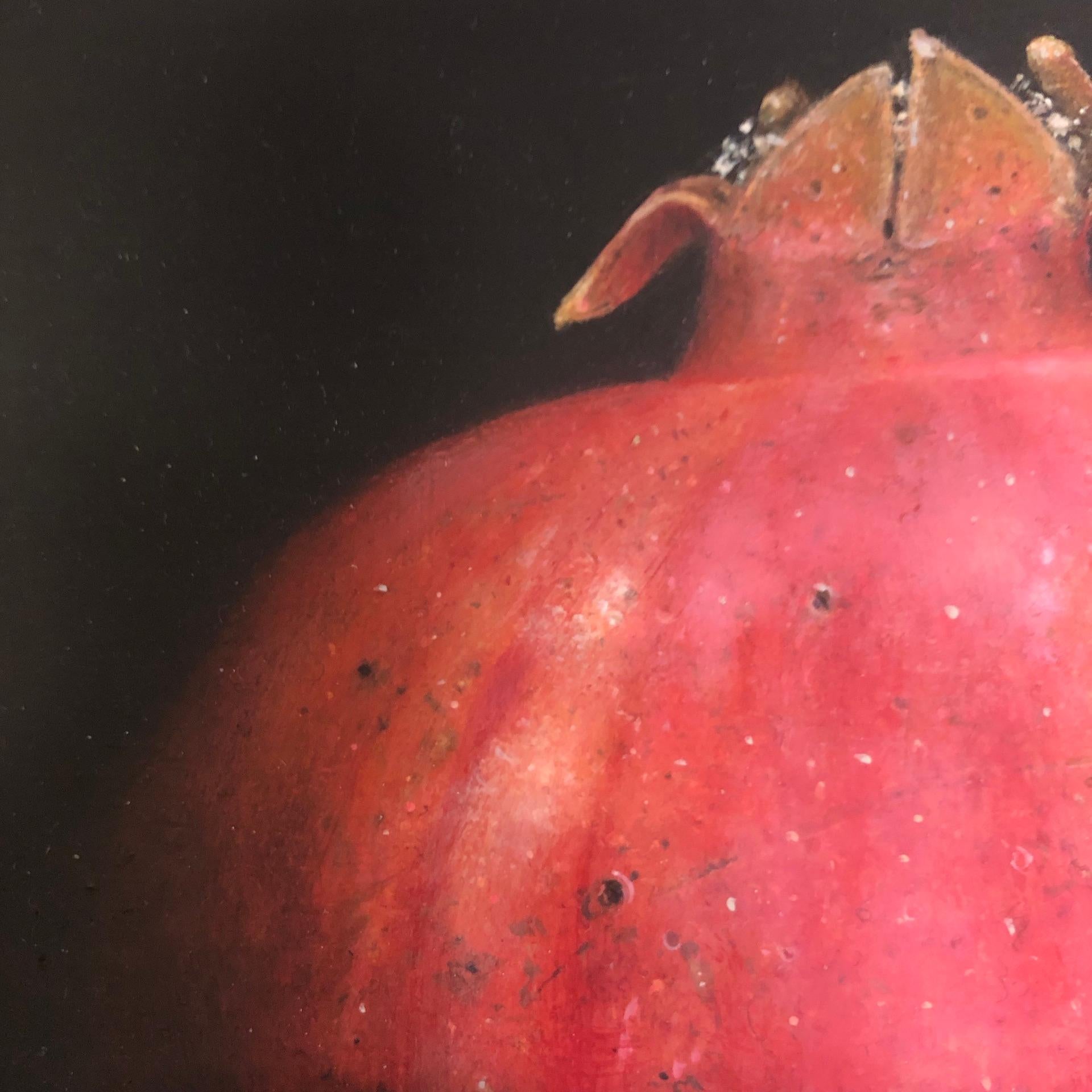 Dani Humberstone, Stripy Red Pomegranate, Realist Art, Still Life Painting 7