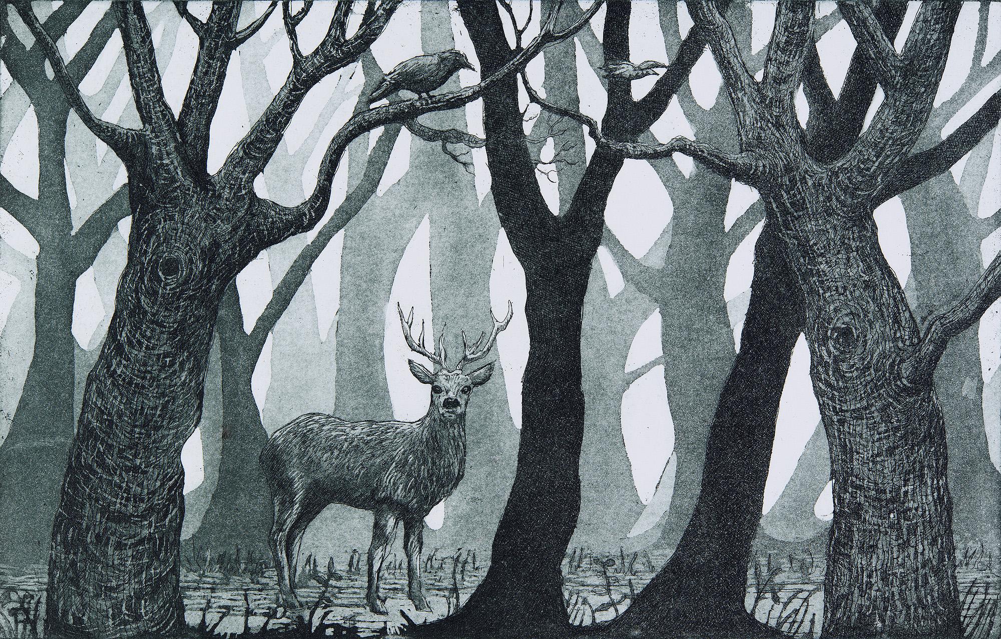 Jane Peart, Forest Glen,  In limitierter Auflage, Radierungsdruck, Waldkunst