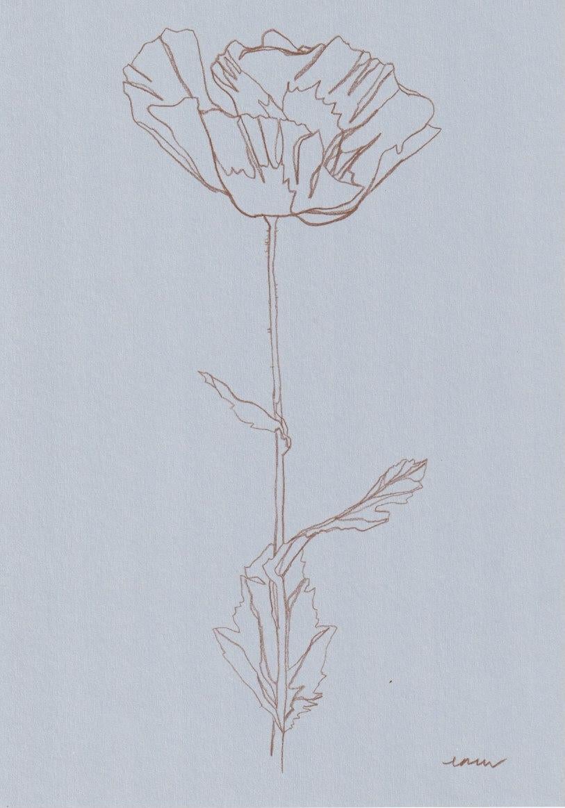 flower darwing