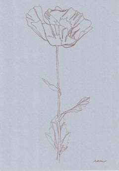 Ellen Williams, Poppy V Original Drawing, Floral Art, Minimalist Darwing