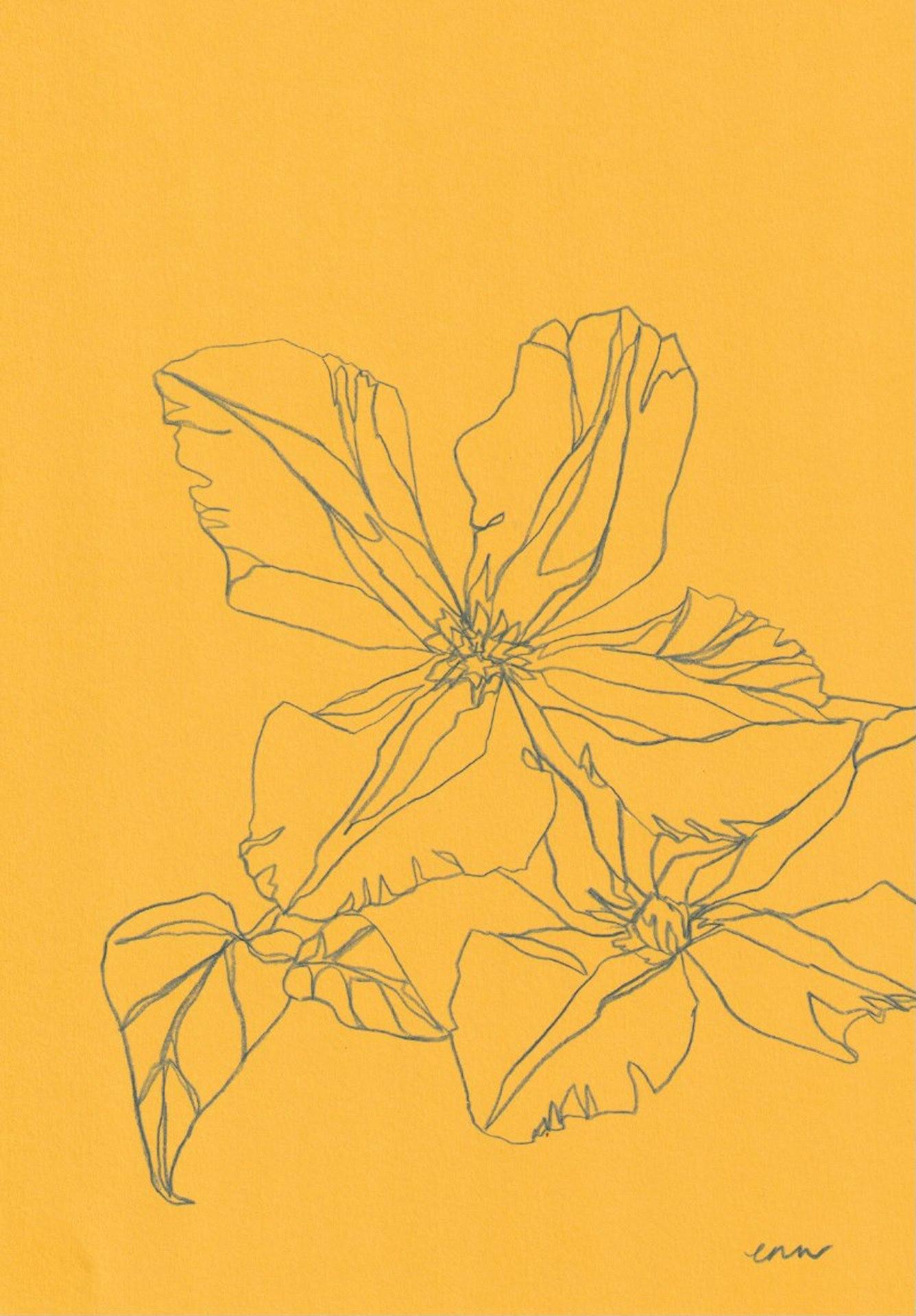 Ellen Williams, Clematis III, Originalzeichnung, Erforderliche Kunst, Blumenzeichnung, 