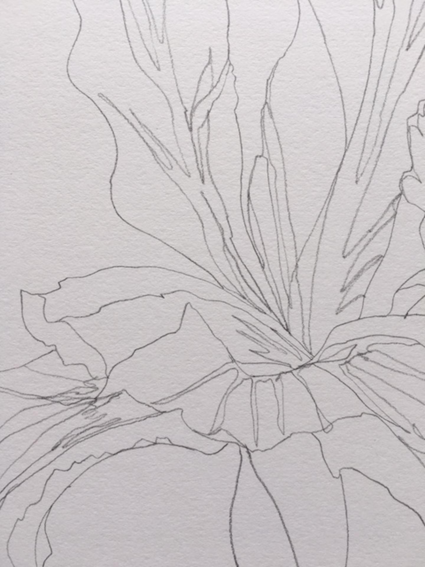 Ellen Williams, Iris I, dessin original, Art floral, Art abordable, Art en ligne en vente 1