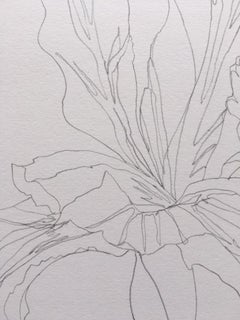 Ellen Williams, Iris I, Original drawing, Floral Art, Affordable Art, Art Online