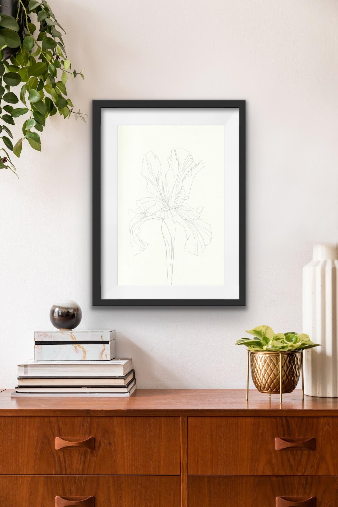Ellen Williams
Iris I
Original drawing
Pencil on 150gsm Paper
Image Size: H 30cm x W 20cm
Sold Unframed
Please note that in situ images are purely an indication of how a piece may look.

This drawing is one in a series of botanical line drawings