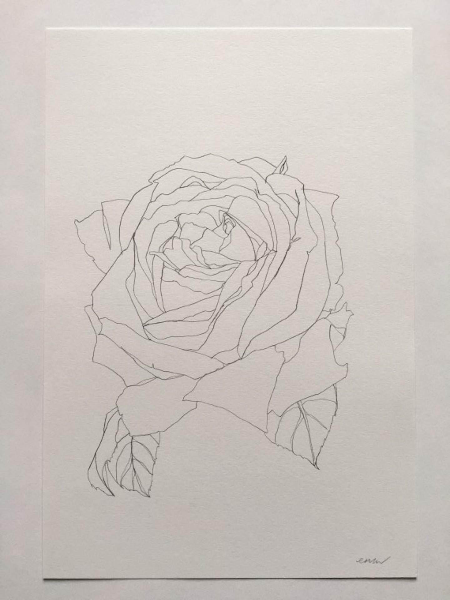 rose still life drawing