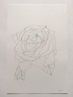 Rose 19, Ellen Williams, Original Drawing, Affordable Artwork, Floral Still Life