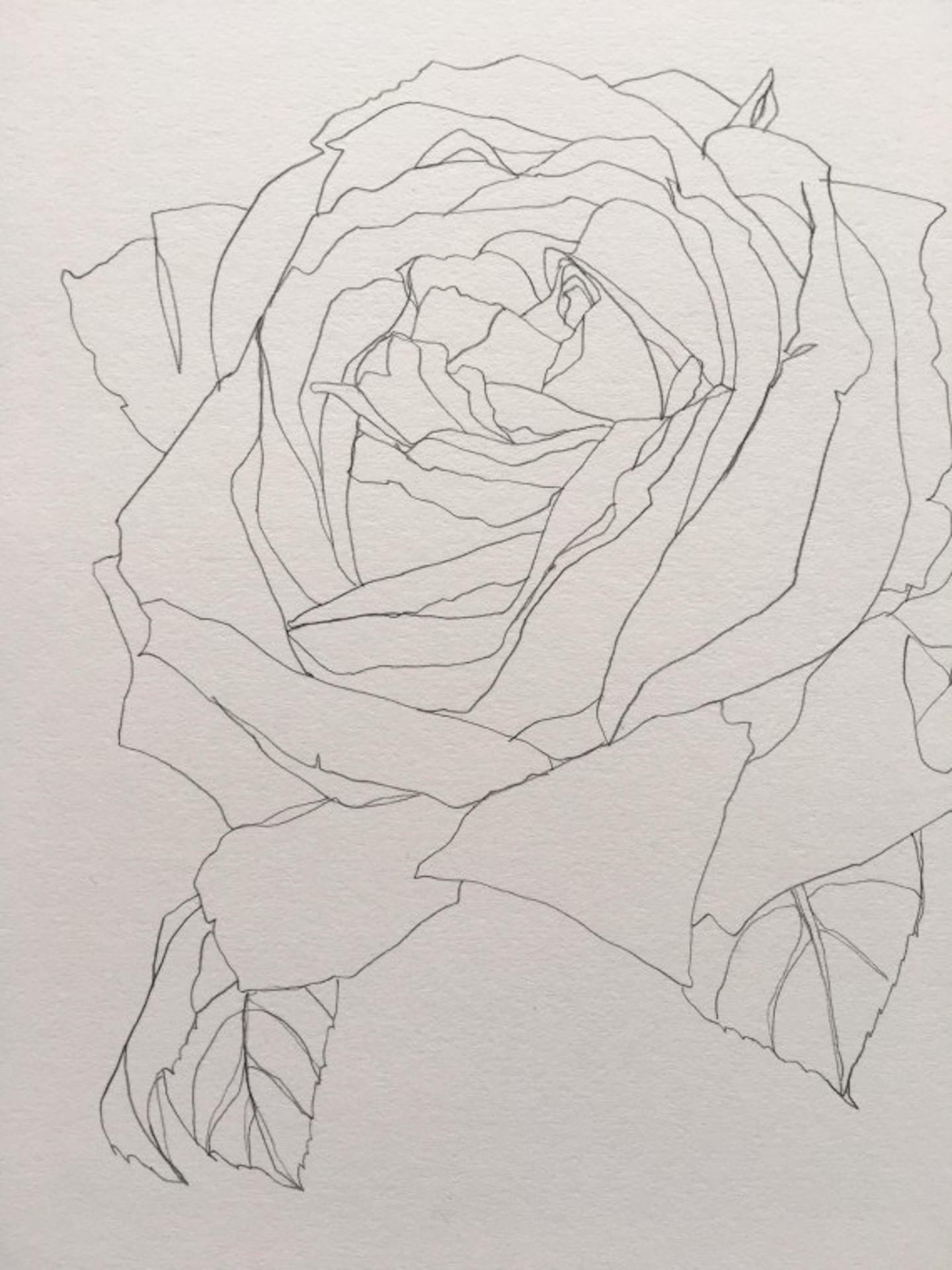 Elle Rose 19, dessin original d'Ellen Williams, œuvre d'art abordable, nature morte florale en vente 3