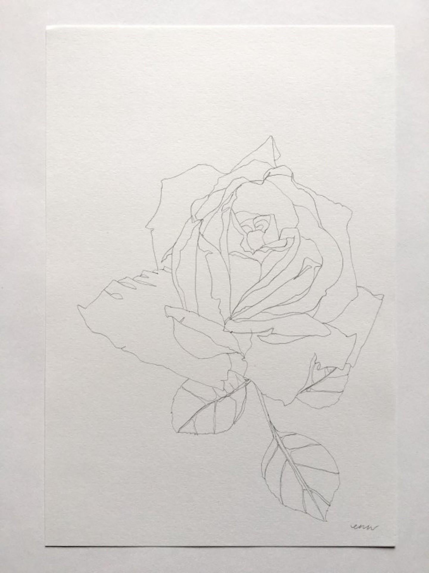 Rose 18, Ellen Williams, dessin original au crayon, nature morte florale, abordable en vente 1