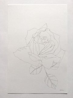 Rose 18, Ellen Williams, Original Pencil Drawing, Floral Still Life, Affordable