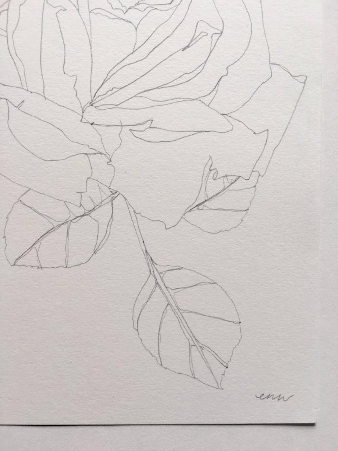 Rose 18, Ellen Williams, dessin original au crayon, nature morte florale, abordable en vente 2