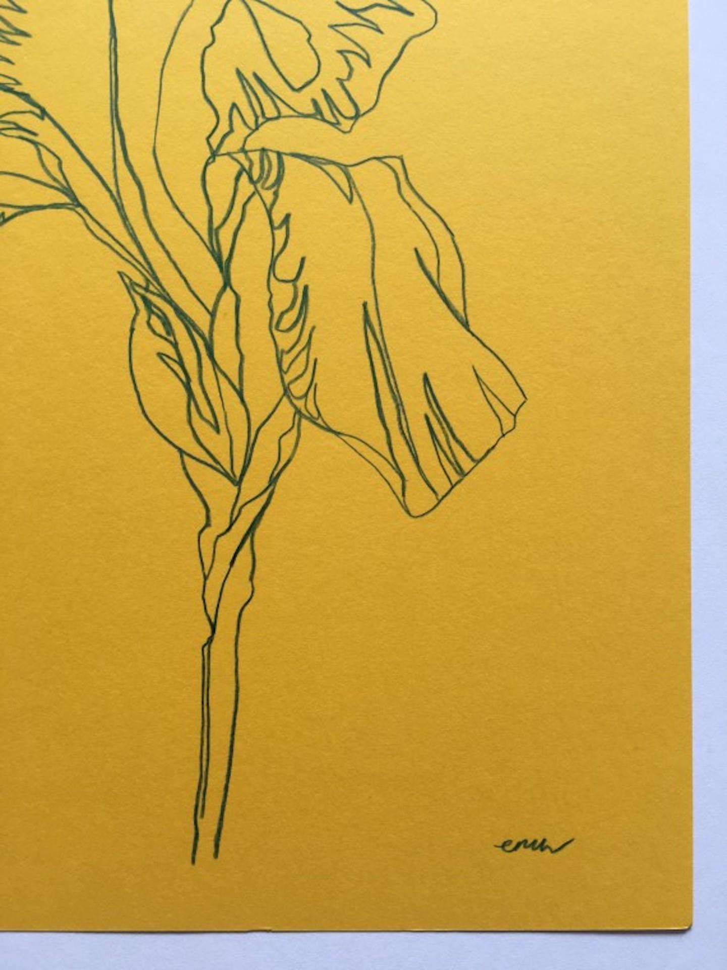 Iris 5, Ellen William, dessin original au crayon, nature morte florale minimaliste - Art de Ellen Williams