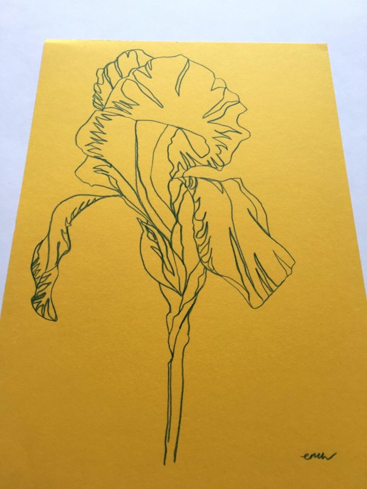 Iris 5, Ellen William, dessin original au crayon, nature morte florale minimaliste - Minimaliste Art par Ellen Williams