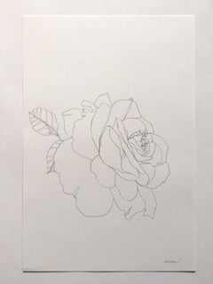 Rose 17, Ellen Williams, Original Drawing, Pencil, Floral Still Life, Affordable