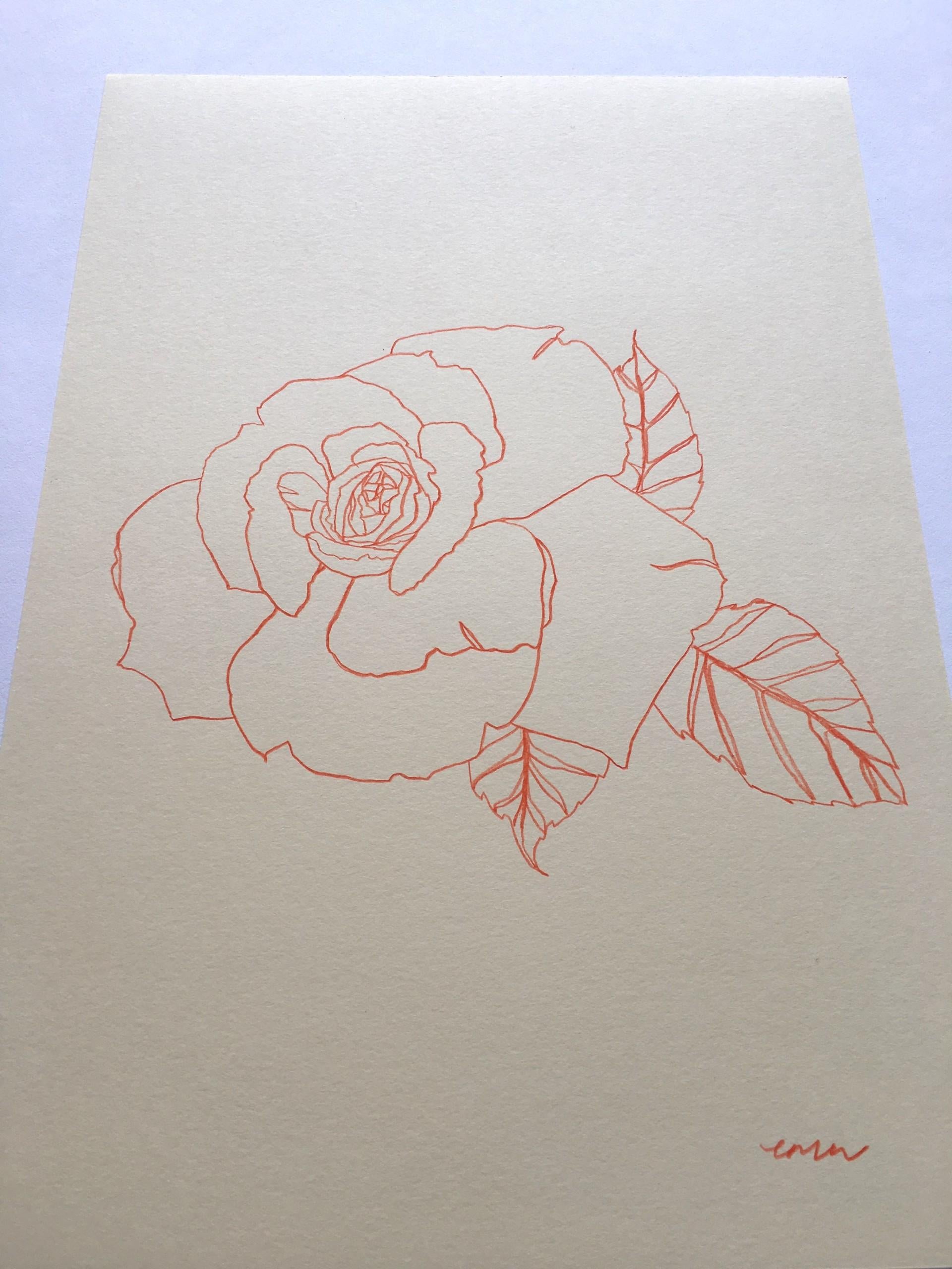 how to draw a rose front view