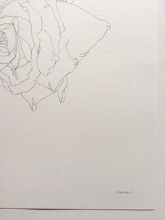 Rose 16, Ellen Williams, Original, Floral Still Life, Pencil Drawing, Affordable