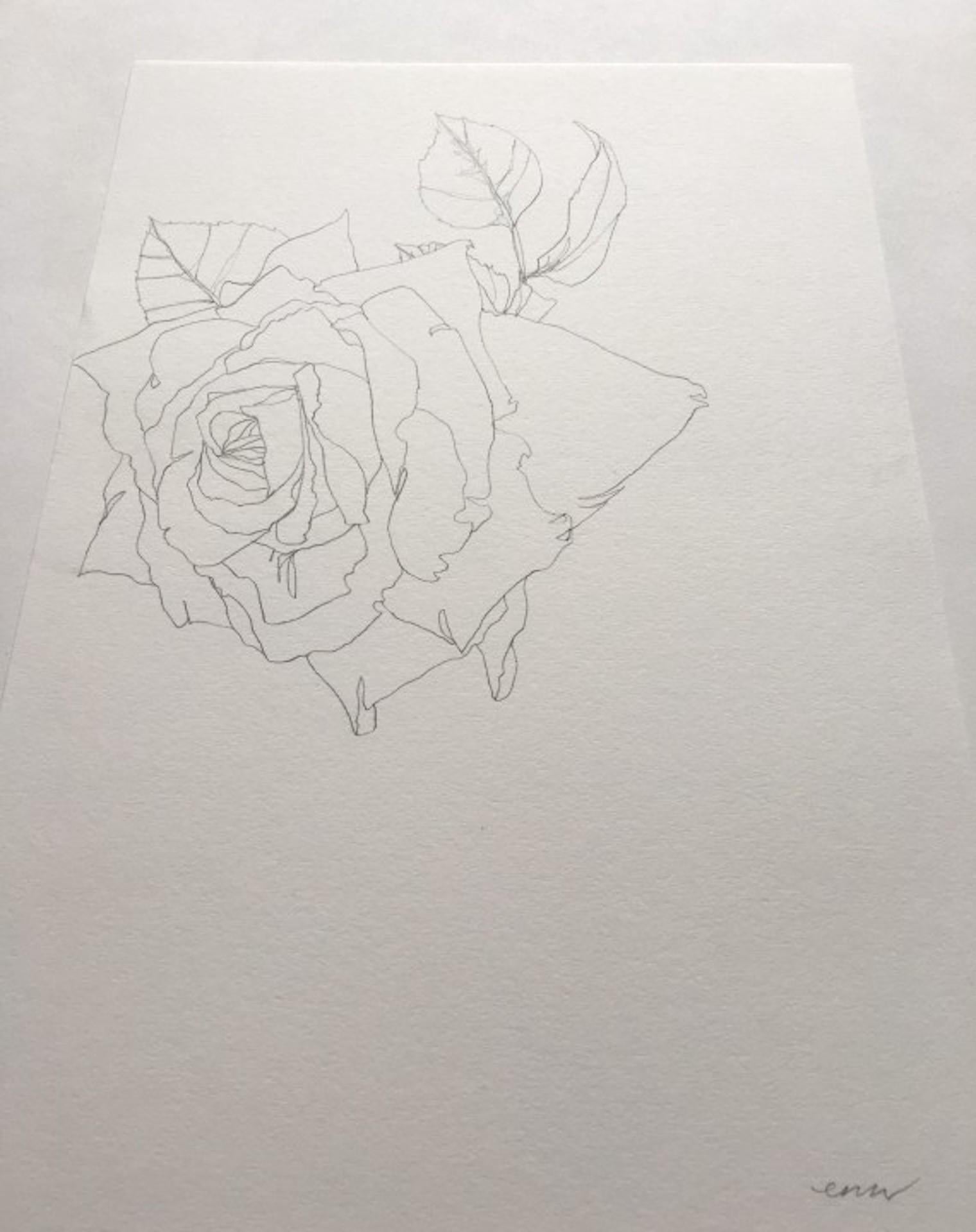 Rose 16, Ellen Williams, Original, Nature morte florale, Dessin au crayon, Prix abordable en vente 2