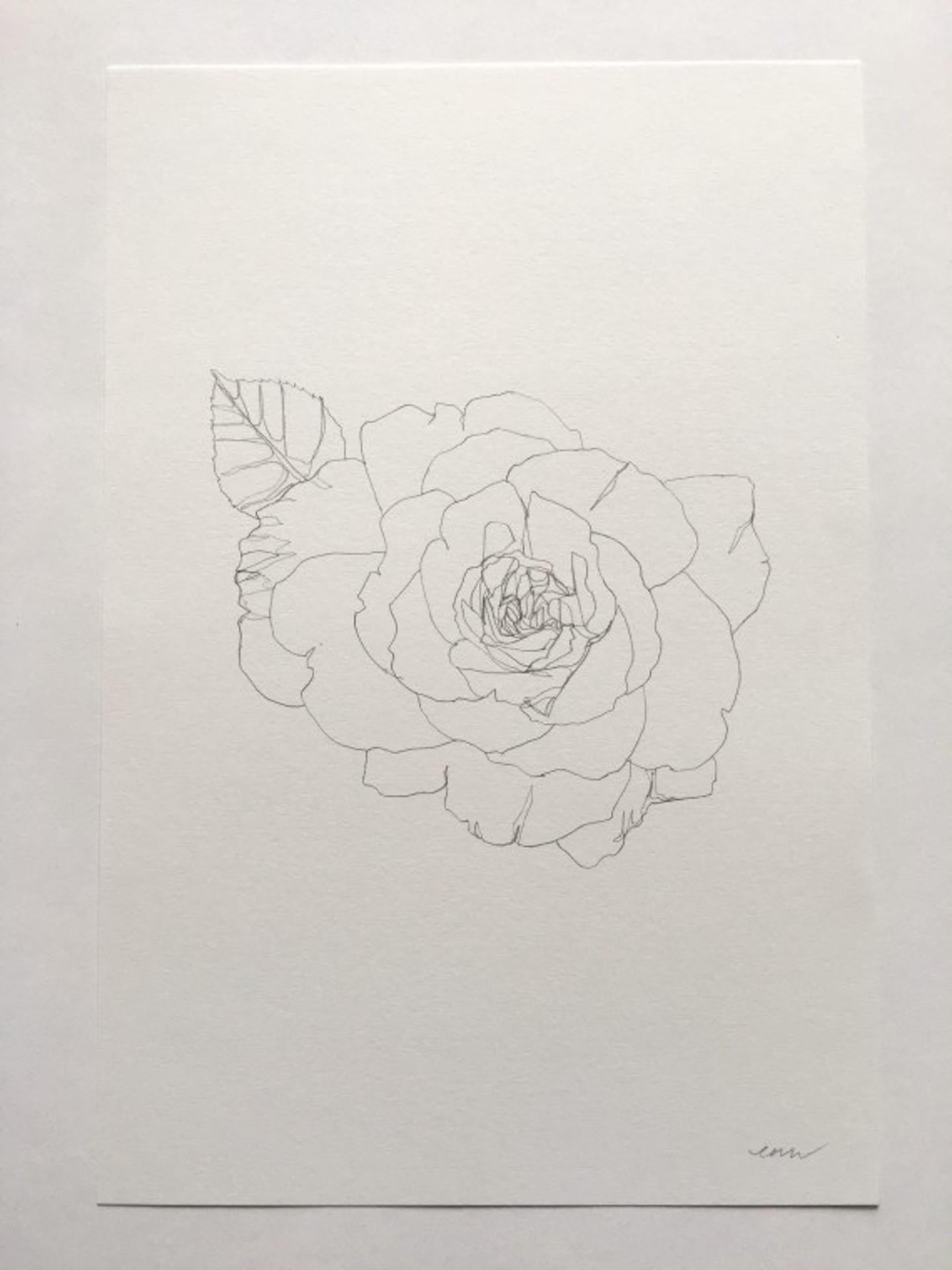 camellia drawing easy