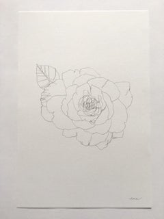Rose 15, Ellen Williams, Original Drawing, Floral Still Life Art, Affordable Art