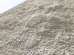 People #Black & White