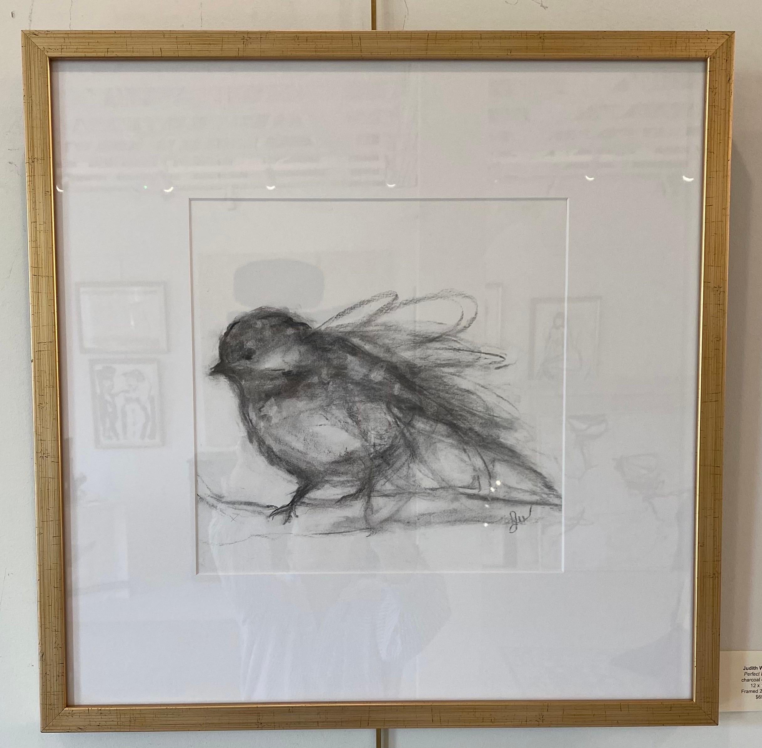 Perfect Landing by Judith Williams contemporary black and white charcoal bird 2