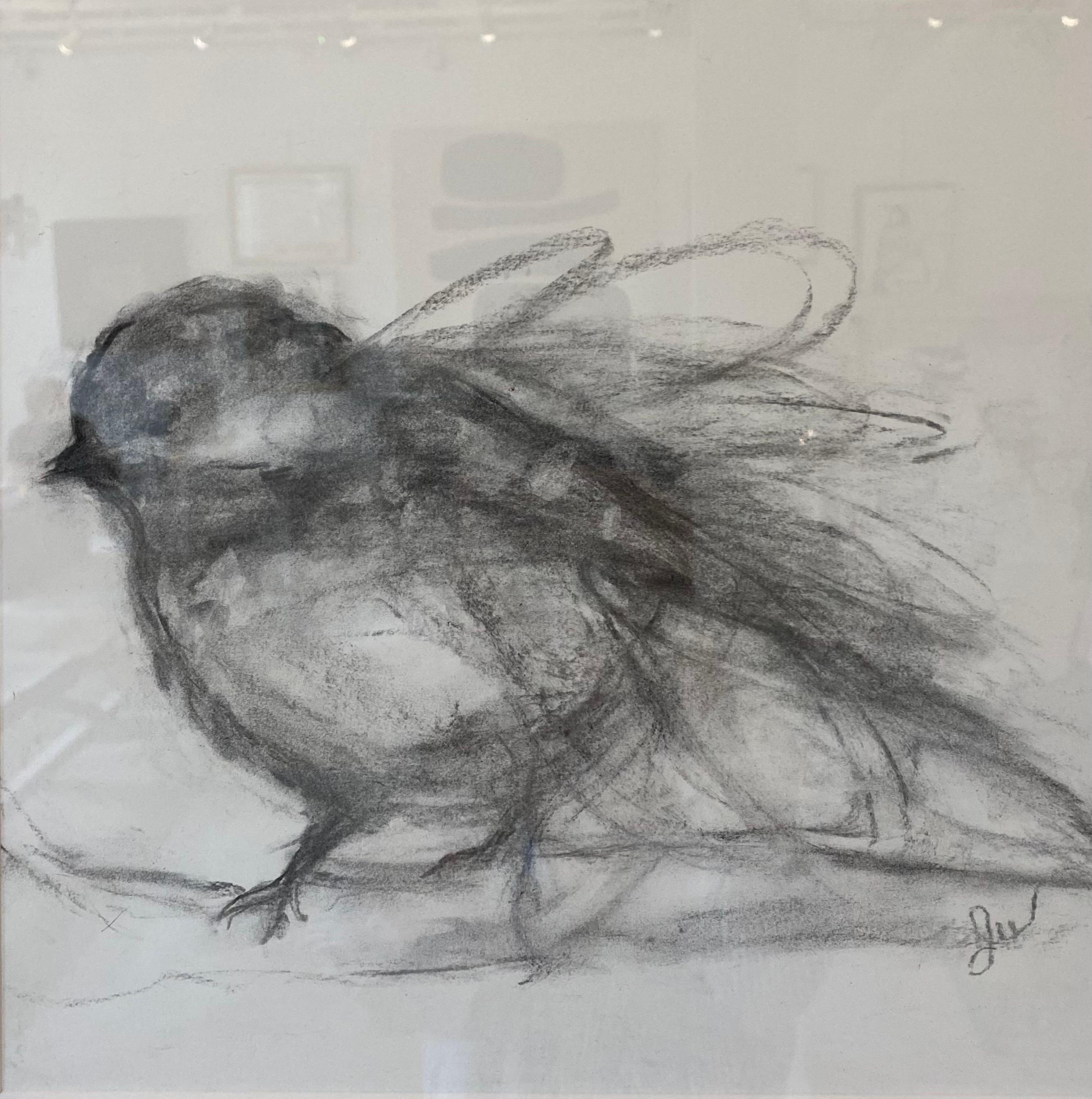Perfect Landing by Judith Williams contemporary black and white charcoal bird 3
