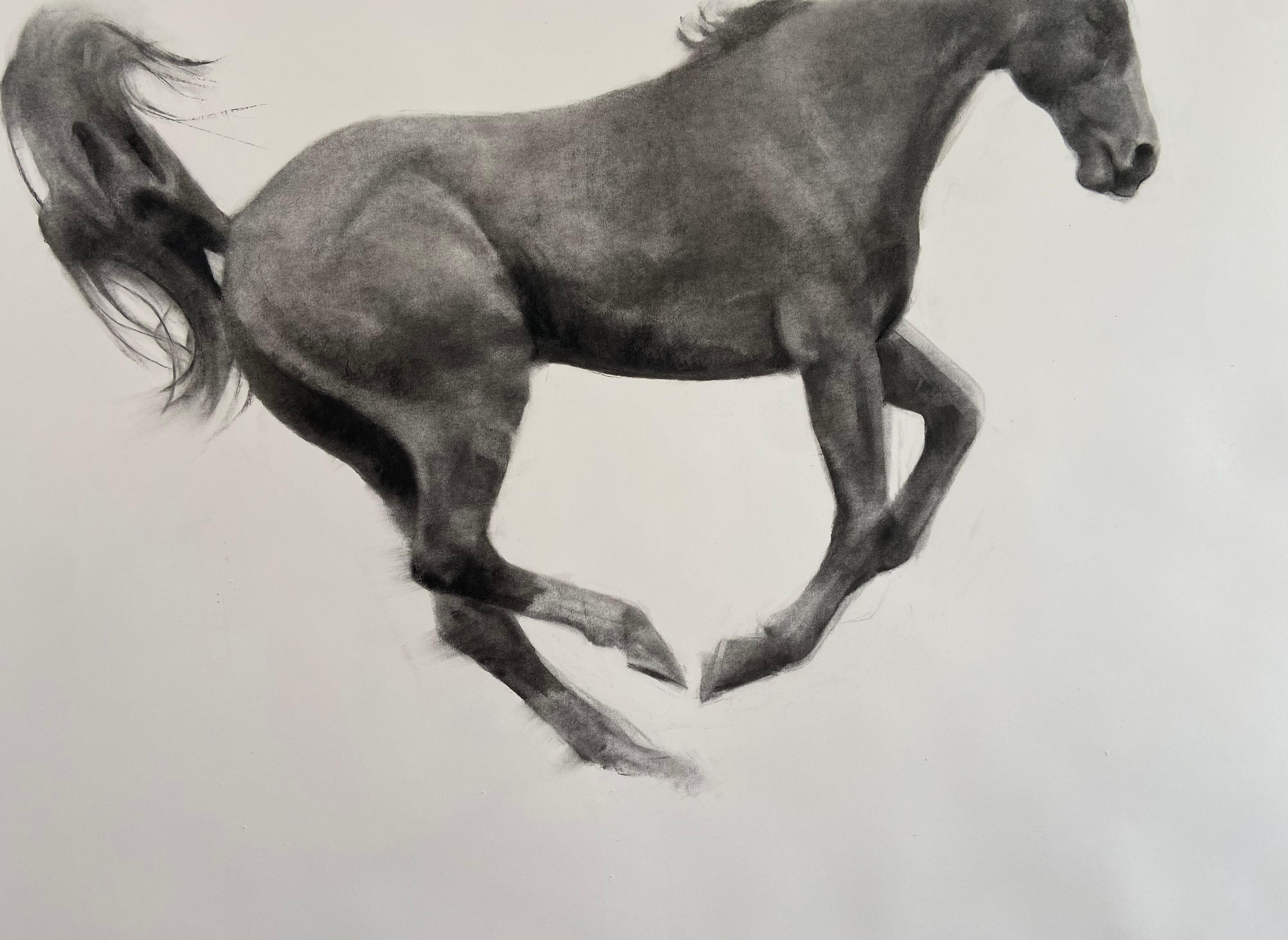 Elevate, Jumping Horse Drawing, Charcoal on Fabriano paper, white frame