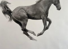 Elevate, Jumping Horse Drawing, Charcoal on Fabriano paper, white frame