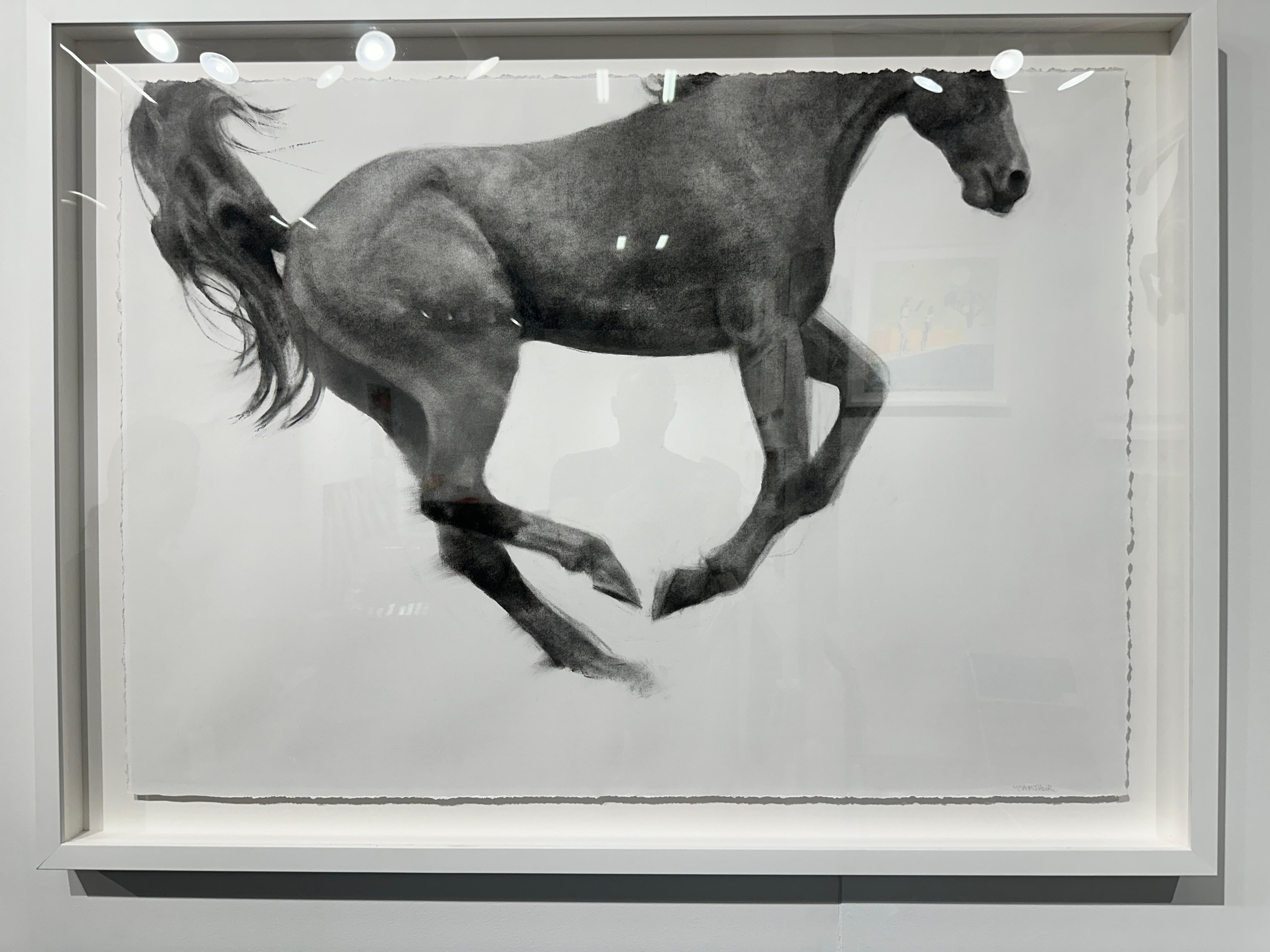 Elevate, Jumping Horse Drawing, Charcoal on Fabriano paper, white frame - Art by Patsy McArthur