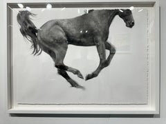 Elevate, Disegno di un cavallo che salta, carboncino su carta Fabriano, cornice bianca