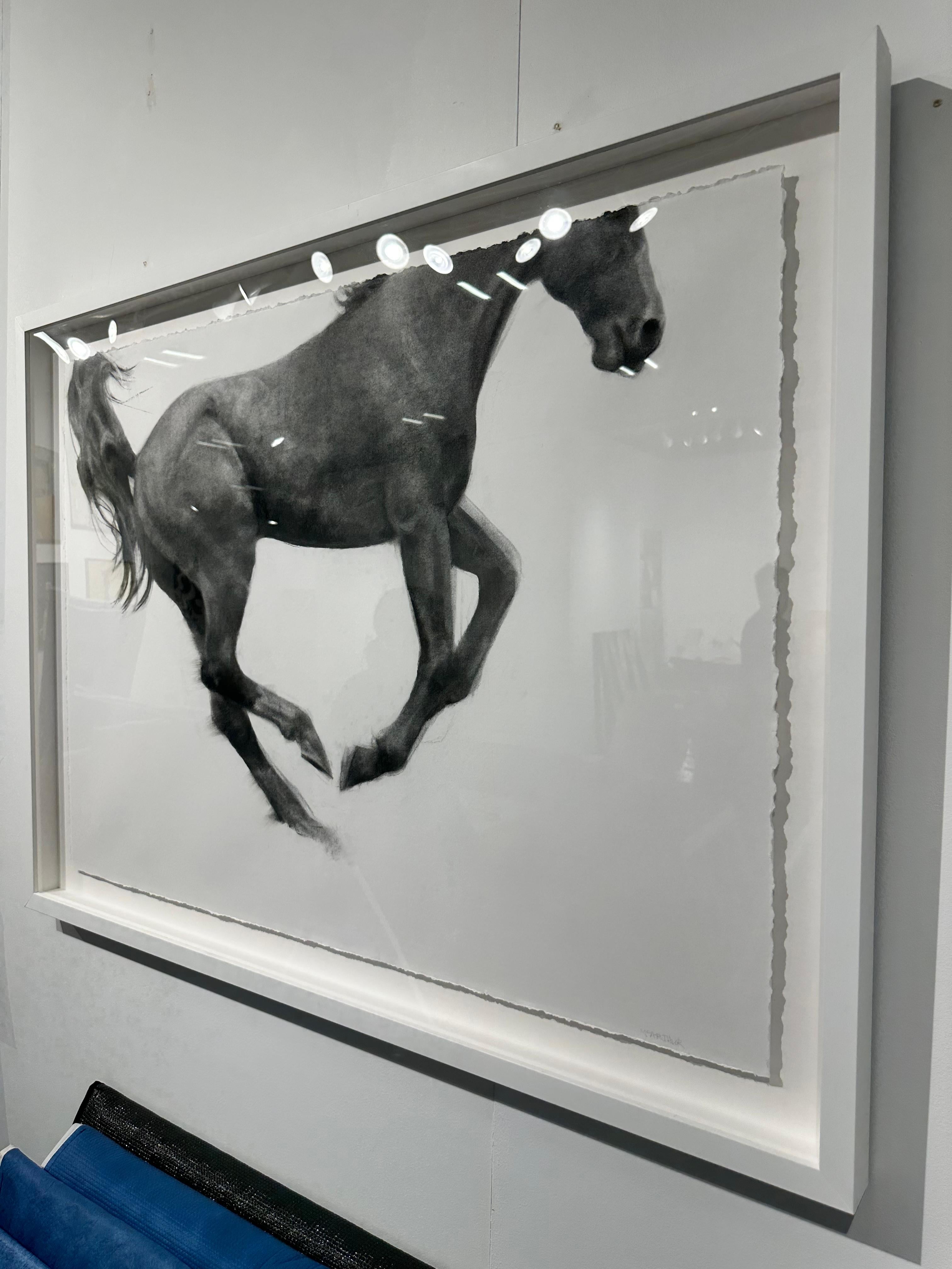 Elevate, Jumping Horse Drawing, Charcoal on Fabriano paper, white frame - Gray Animal Art by Patsy McArthur