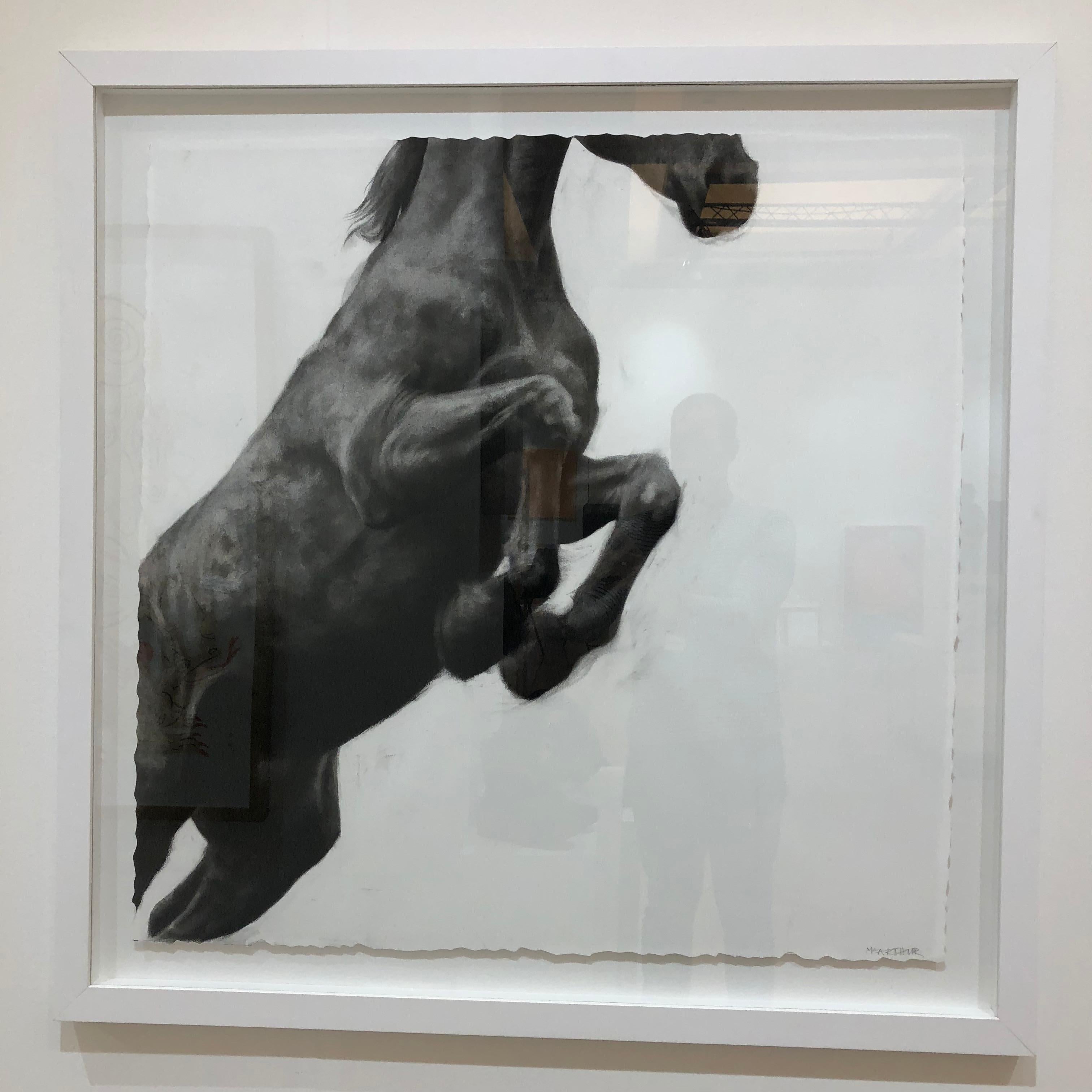 Puissance, Horse Drawing, Charcoal and graphite on Fabriano paper, white frame - Art by Patsy McArthur